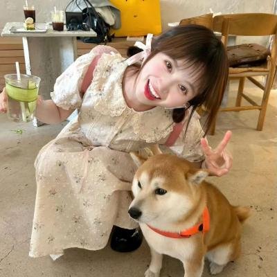 改道人生